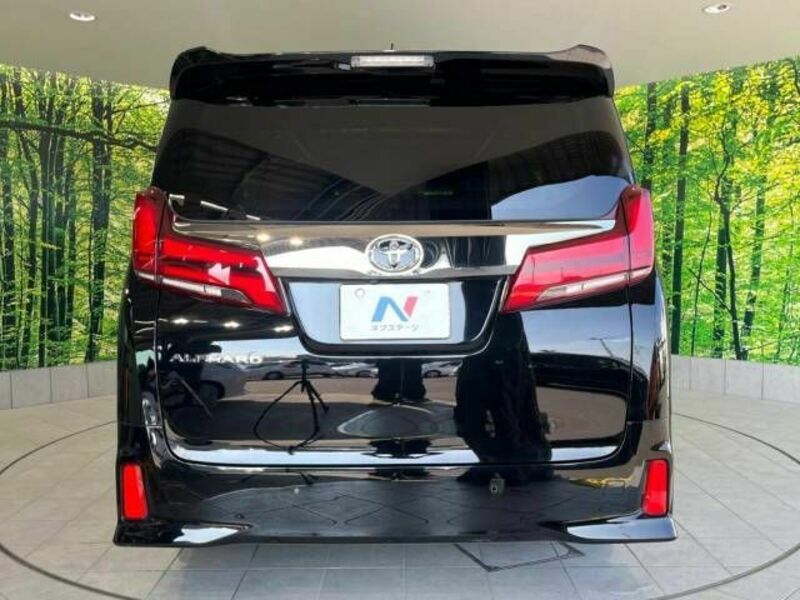 ALPHARD-16