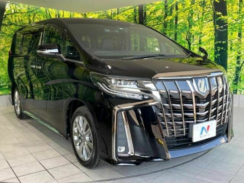 ALPHARD-17