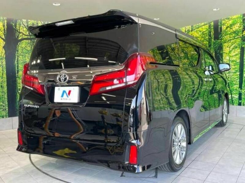 ALPHARD-18