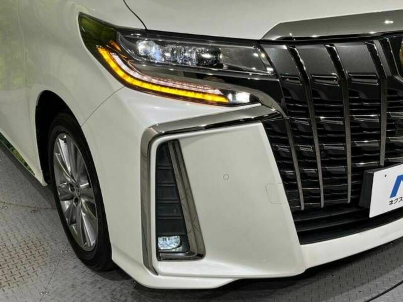 ALPHARD-13