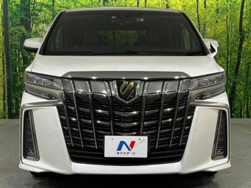 ALPHARD-15