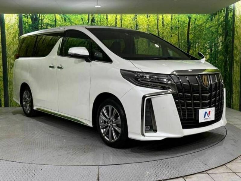 ALPHARD-17