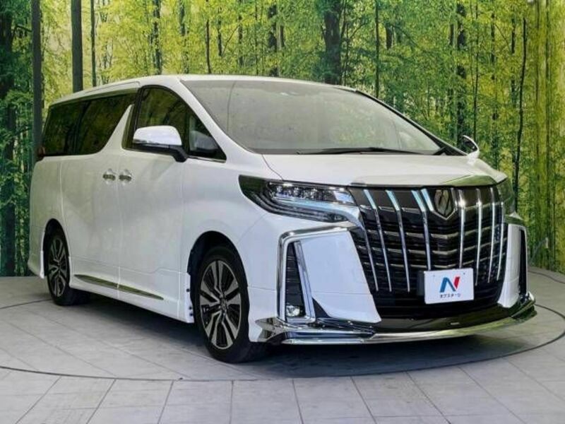 ALPHARD-16