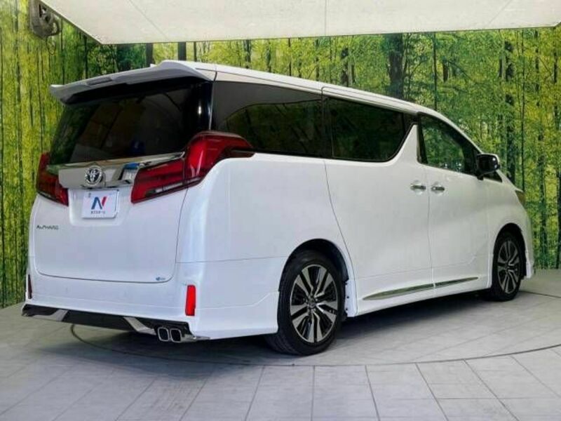 ALPHARD-17