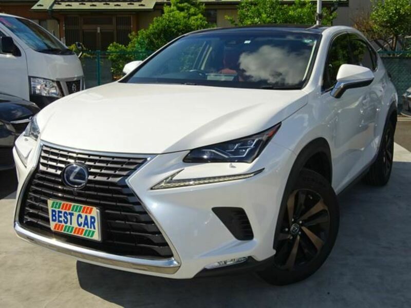 LEXUS　NX