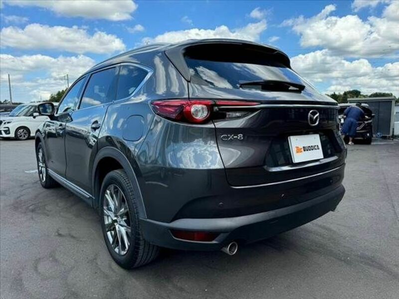 CX-8