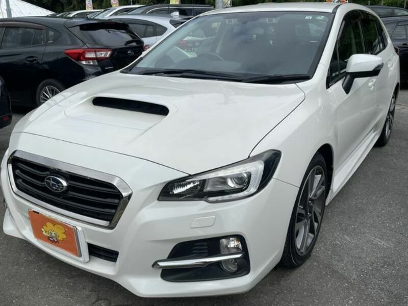 LEVORG-1