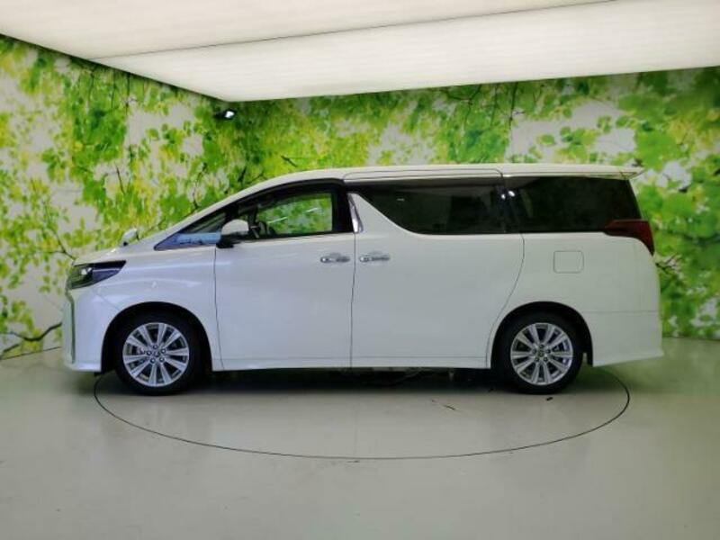 ALPHARD-1