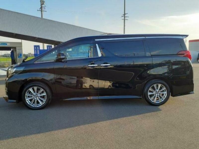 ALPHARD-1