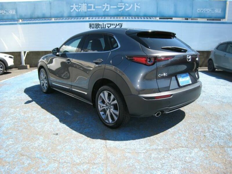 CX-30-2