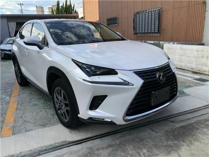 LEXUS　NX