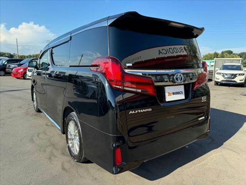 ALPHARD-12