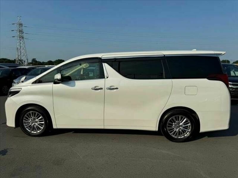 ALPHARD-10