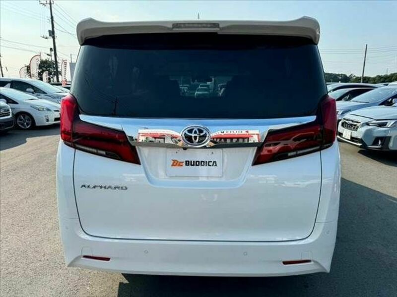 ALPHARD-13