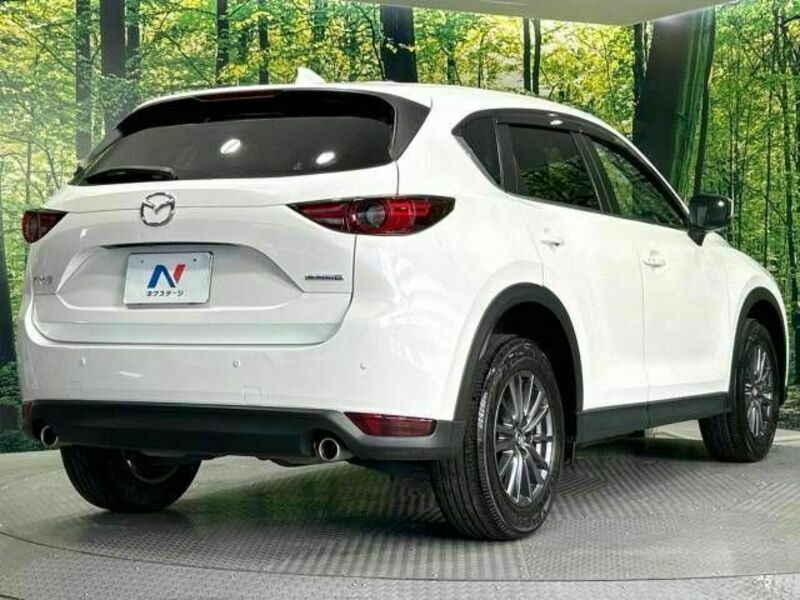 CX-5-17