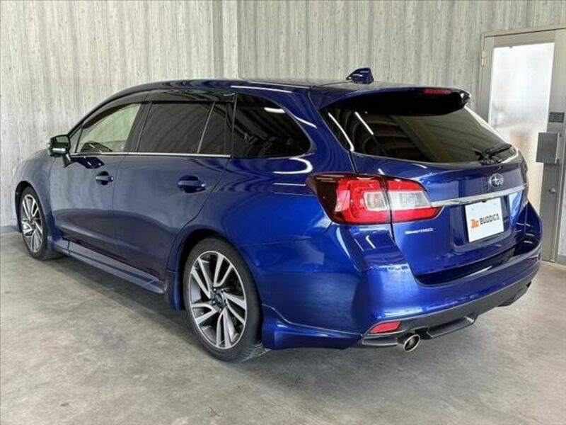 LEVORG