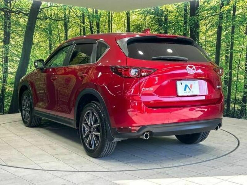 CX-5-17