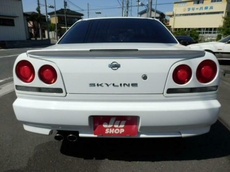 SKYLINE-6