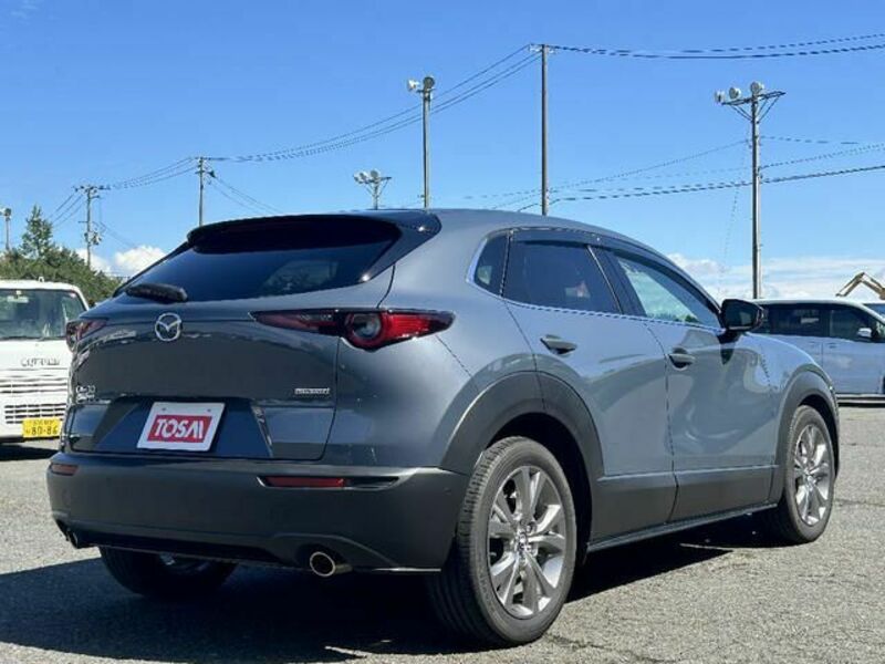 CX-30-4