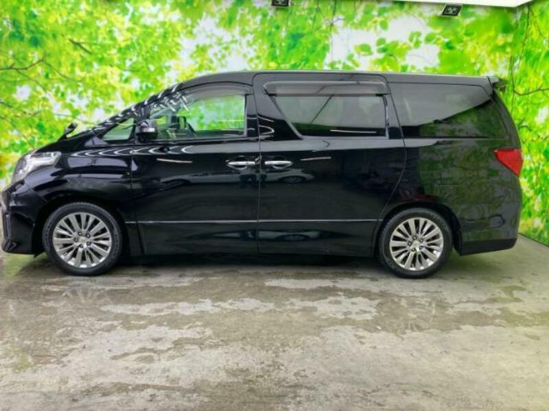 ALPHARD-1