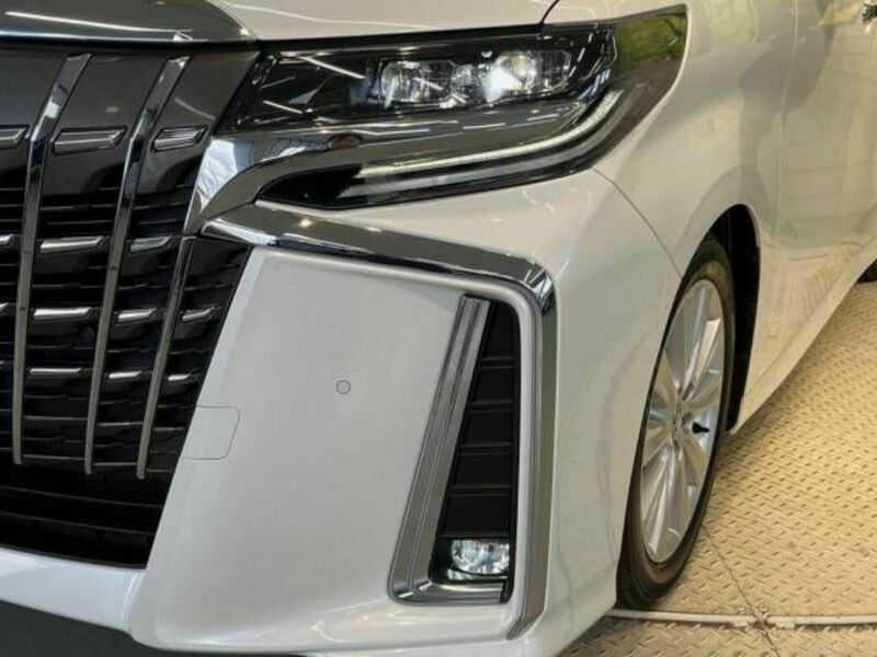 ALPHARD-12