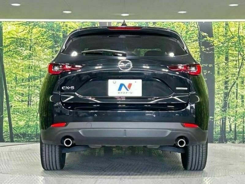 CX-5-15