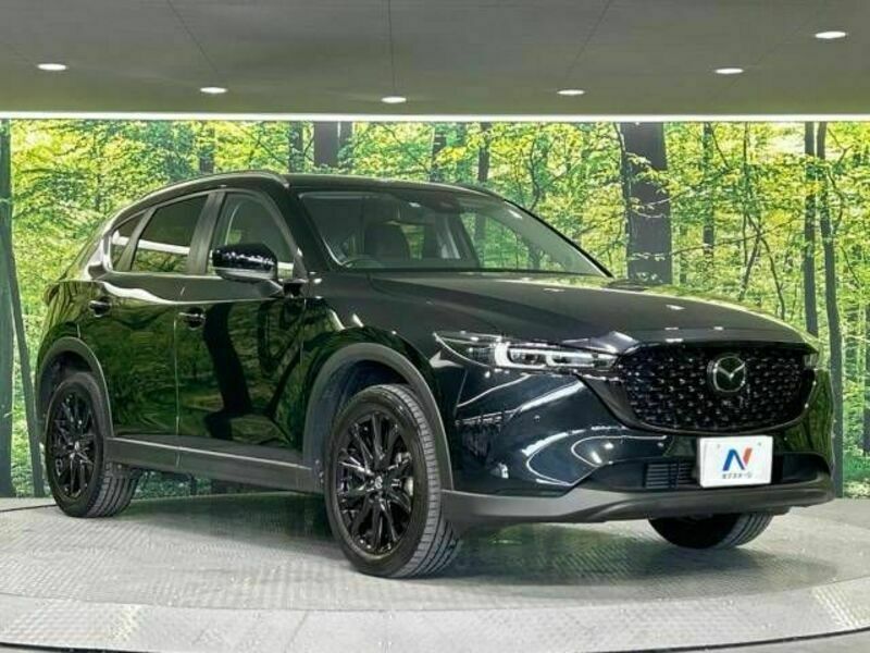 CX-5-16