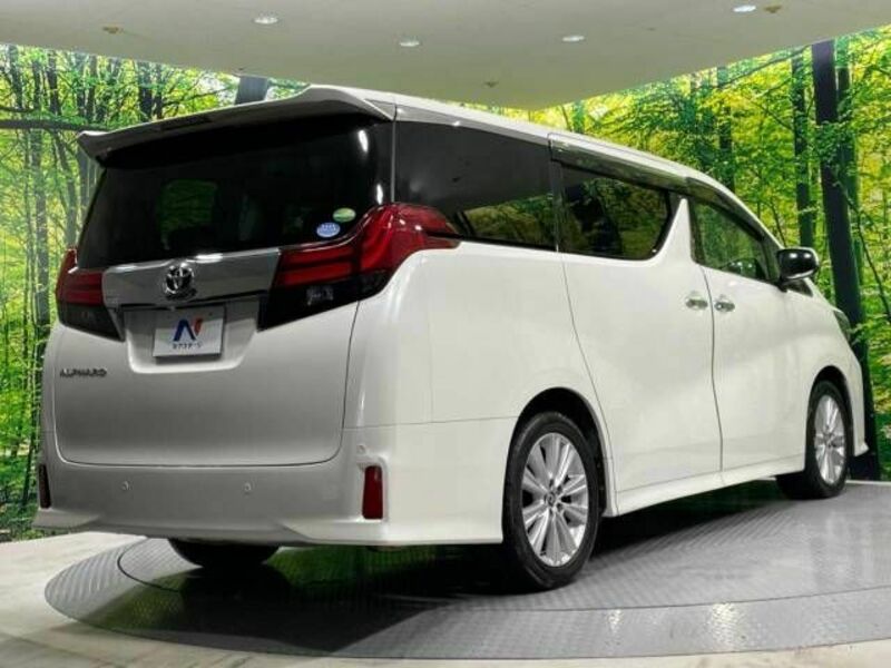 ALPHARD-17