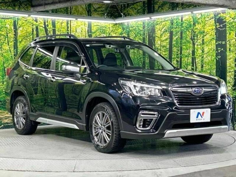 FORESTER-16