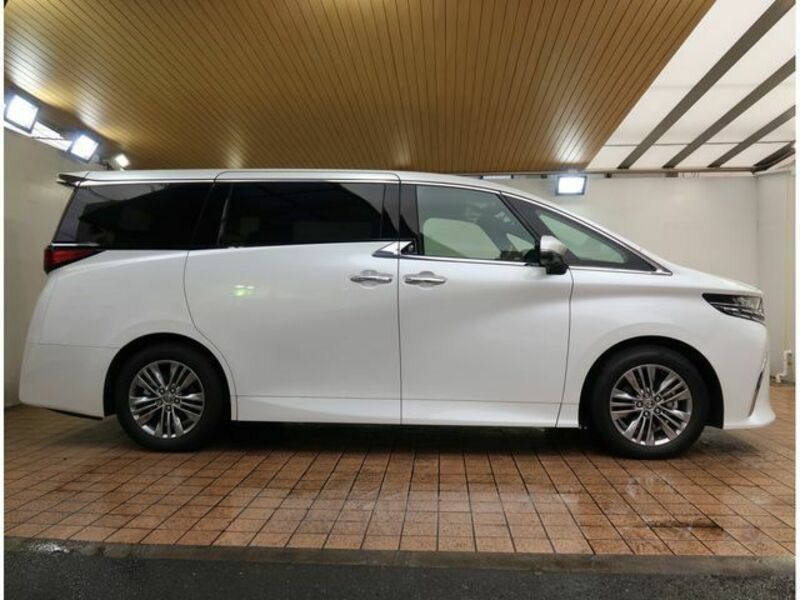 ALPHARD-6