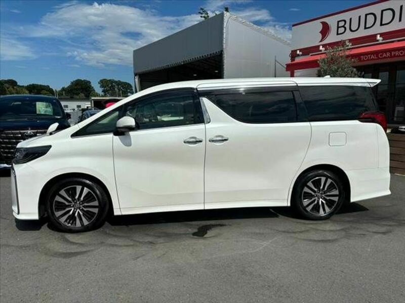 ALPHARD-10