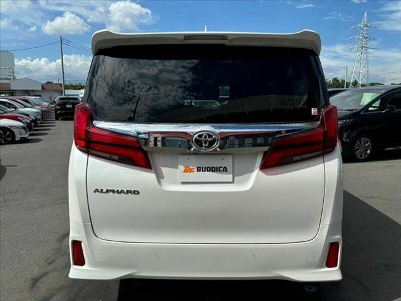 ALPHARD-13