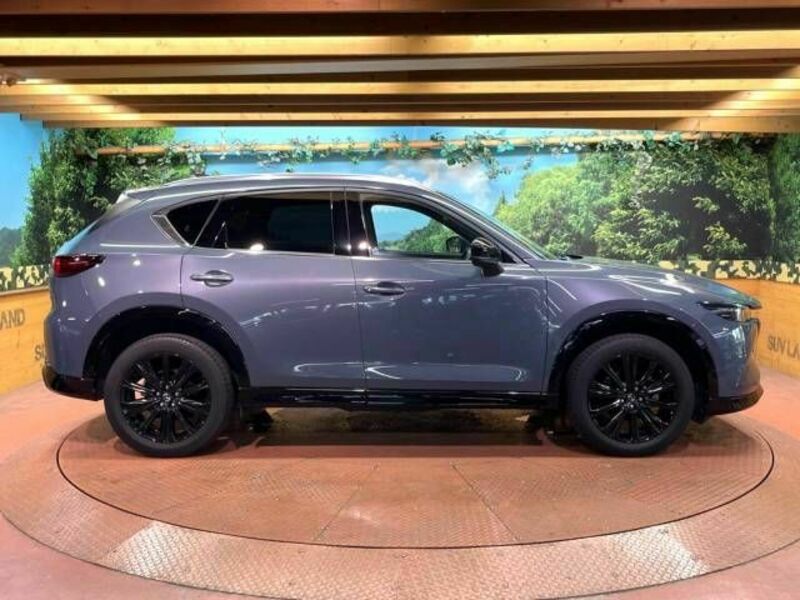 CX-5-16