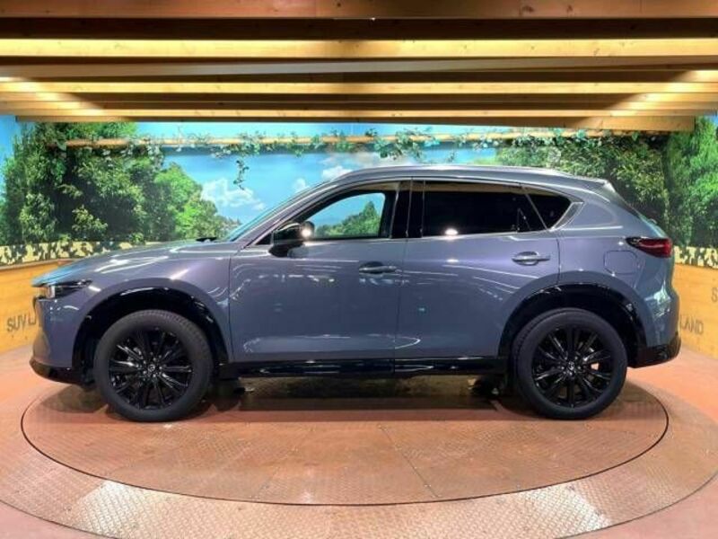 CX-5-17