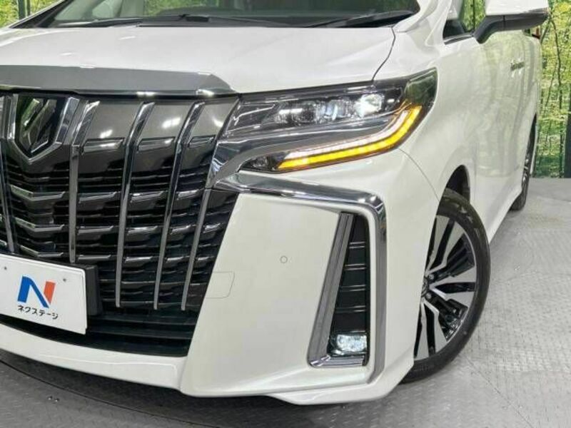 ALPHARD-13