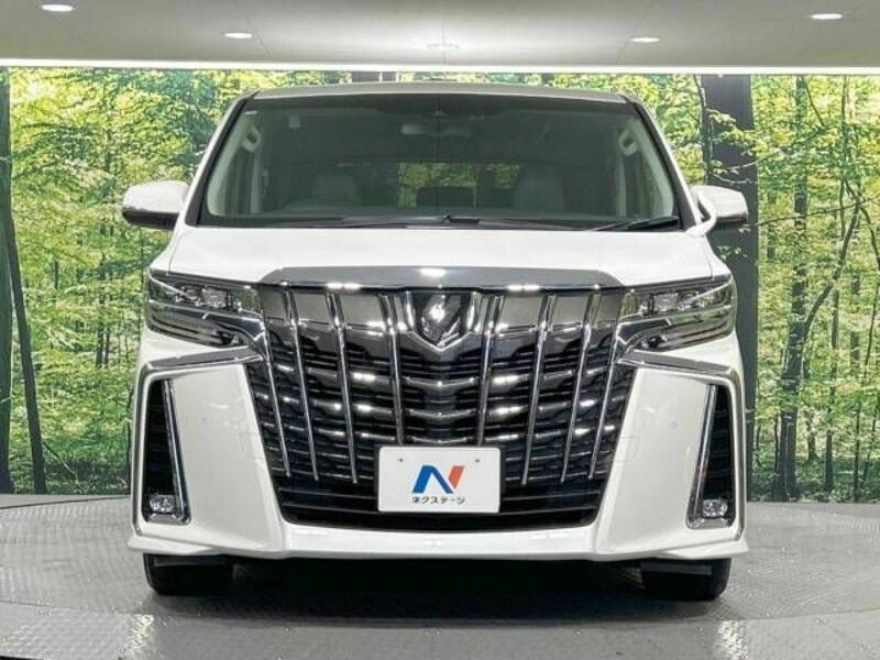 ALPHARD-14