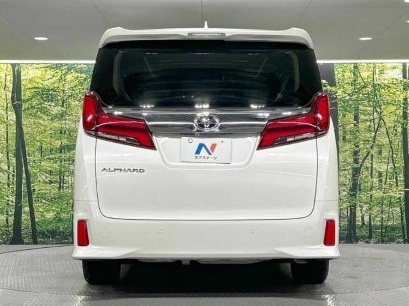 ALPHARD-15