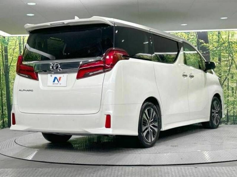 ALPHARD-17