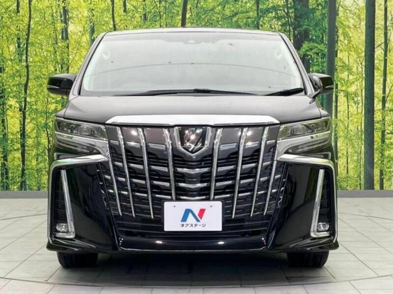 ALPHARD-15