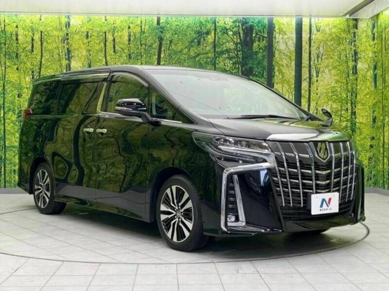 ALPHARD-17