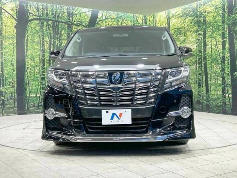 ALPHARD-15