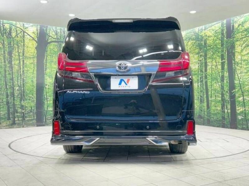 ALPHARD-16