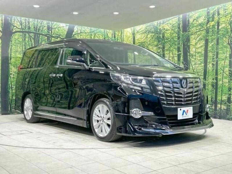 ALPHARD-17