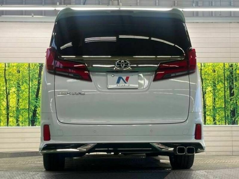 ALPHARD-15