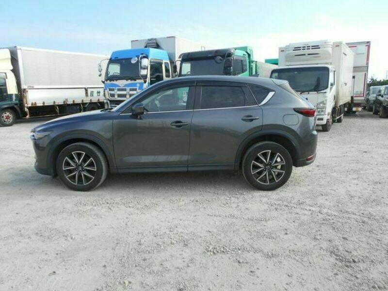 CX-5-6