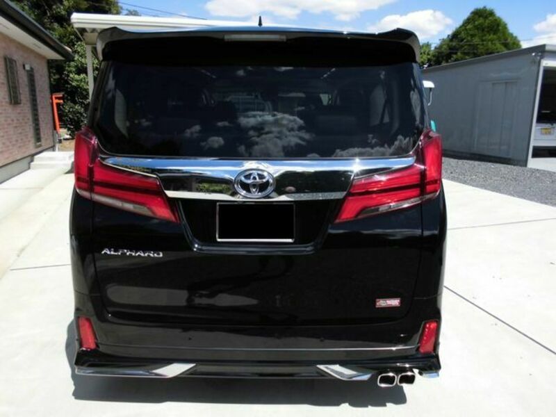 ALPHARD-6