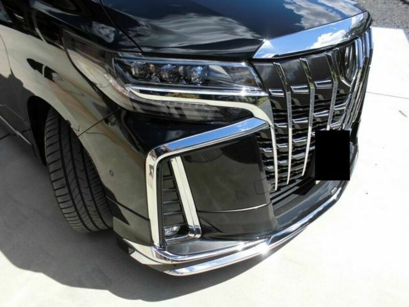 ALPHARD-17