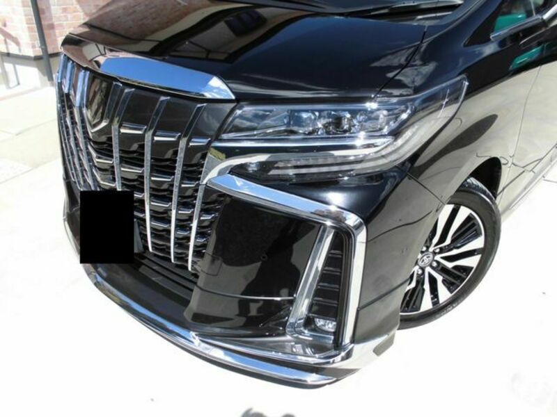 ALPHARD-18