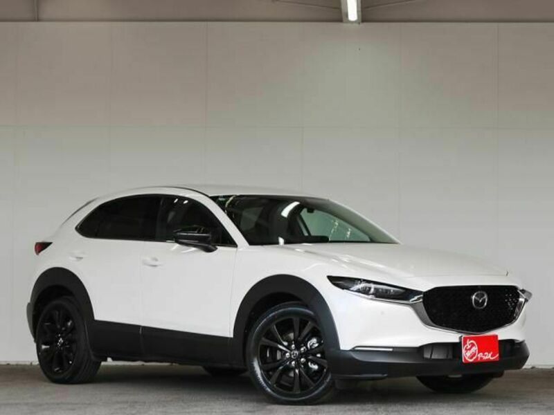 CX-30-1