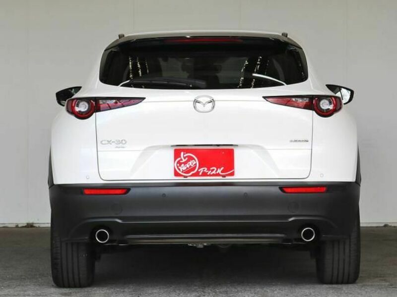 CX-30-8